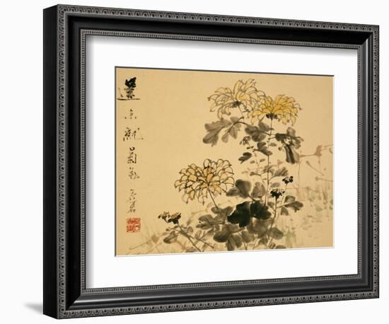 Chrysanthemums, A Leaf from an Album of Various Subjects-Xu Gu-Framed Giclee Print