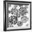 Chrysanthemums, a Stencil for Printing on Cotton-null-Framed Giclee Print