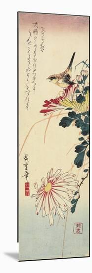 Chrysanthemums and a Shrike, 1830-1858-Utagawa Hiroshige-Mounted Giclee Print