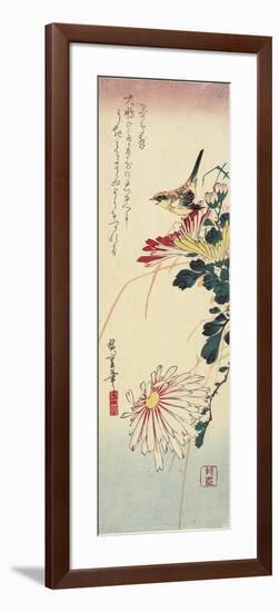 Chrysanthemums and a Shrike, 1830-1858-Utagawa Hiroshige-Framed Giclee Print