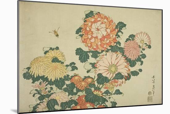 Chrysanthemums and Bee, from an Untitled Series of Large Flowers, C.1833-34-Katsushika Hokusai-Mounted Premium Giclee Print