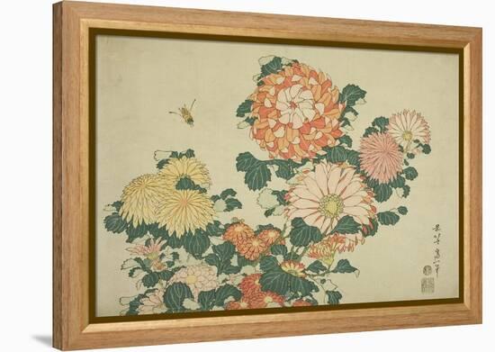 Chrysanthemums and Bee, from an Untitled Series of Large Flowers, C.1833-34-Katsushika Hokusai-Framed Premier Image Canvas