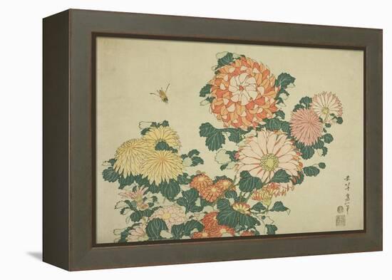 Chrysanthemums and Bee, from an Untitled Series of Large Flowers, C.1833-34-Katsushika Hokusai-Framed Premier Image Canvas