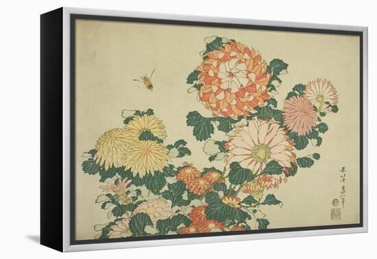 Chrysanthemums and Bee, from an Untitled Series of Large Flowers, C.1833-34-Katsushika Hokusai-Framed Premier Image Canvas