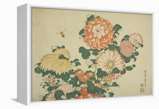 Chrysanthemums and Bee, from an Untitled Series of Large Flowers, C.1833-34-Katsushika Hokusai-Framed Premier Image Canvas