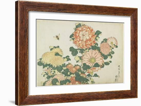 Chrysanthemums and Horsefly, C. 1832-Katsushika Hokusai-Framed Giclee Print