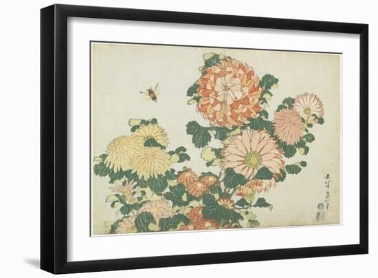 Chrysanthemums and Horsefly, C. 1832-Katsushika Hokusai-Framed Giclee Print