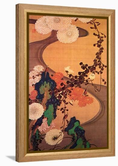 Chrysanthemums by a Stream with Rocks-Jakuchu Ito-Framed Premier Image Canvas