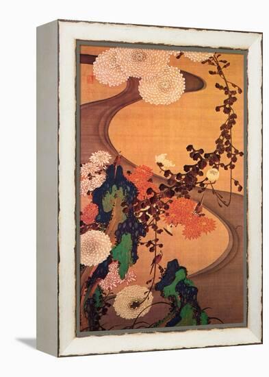 Chrysanthemums by a Stream with Rocks-Jakuchu Ito-Framed Premier Image Canvas