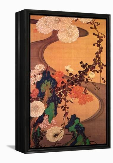 Chrysanthemums by a Stream with Rocks-Jakuchu Ito-Framed Premier Image Canvas