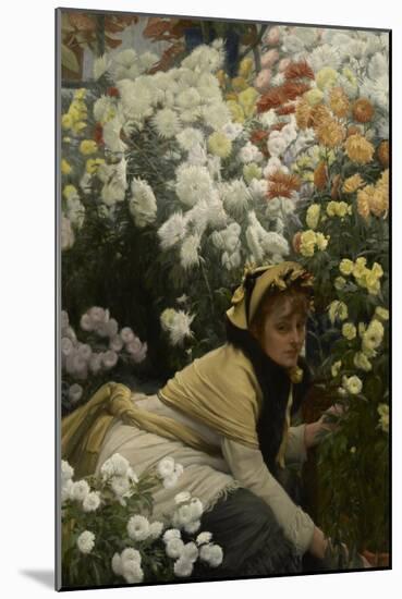 Chrysanthemums, C.1874-76 (Oil on Canvas)-James Jacques Joseph Tissot-Mounted Giclee Print