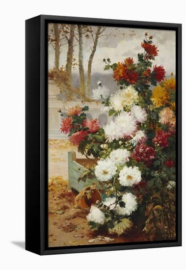 Chrysanthemums in a Walled Garden-Eugene Henri Cauchois-Framed Premier Image Canvas