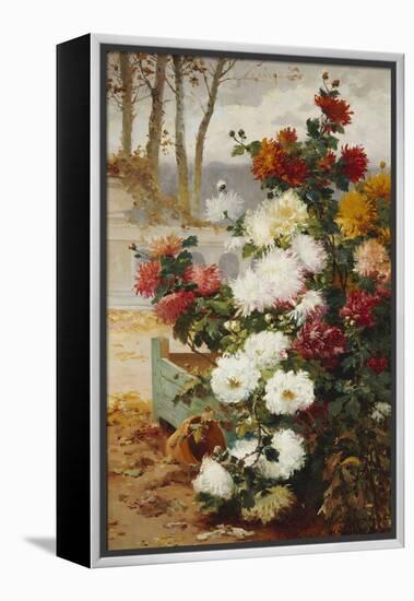 Chrysanthemums in a Walled Garden-Eugene Henri Cauchois-Framed Premier Image Canvas