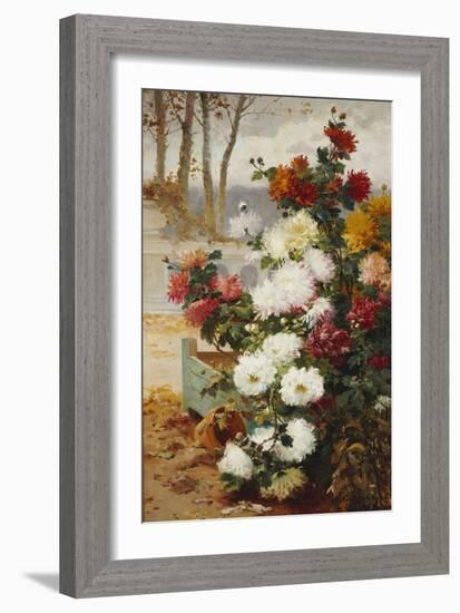 Chrysanthemums in a Walled Garden-Eugene Henri Cauchois-Framed Giclee Print