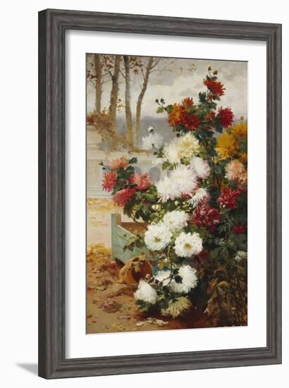 Chrysanthemums in a Walled Garden-Eugene Henri Cauchois-Framed Giclee Print