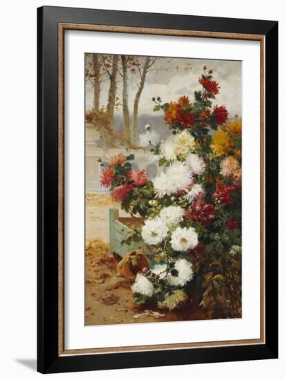 Chrysanthemums in a Walled Garden-Eugene Henri Cauchois-Framed Giclee Print