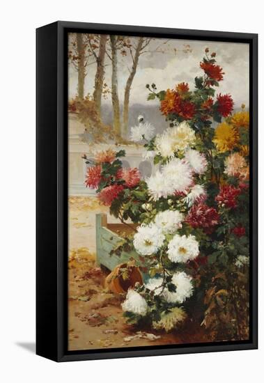 Chrysanthemums in a Walled Garden-Eugene Henri Cauchois-Framed Premier Image Canvas