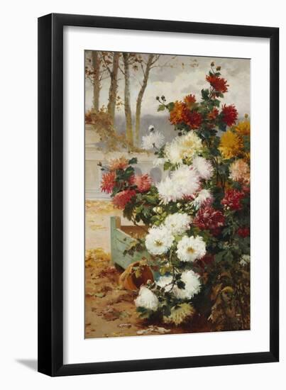 Chrysanthemums in a Walled Garden-Eugene Henri Cauchois-Framed Giclee Print