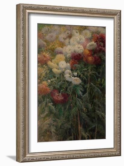 Chrysanthemums in the Garden at Petit-Gennevilliers, 1893-Gustave Caillebotte-Framed Giclee Print