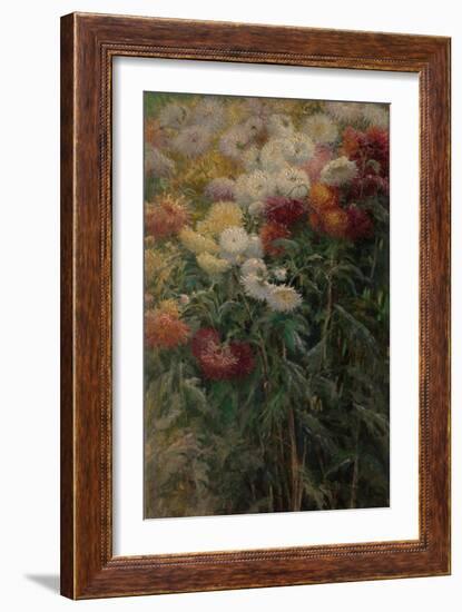 Chrysanthemums in the Garden at Petit-Gennevilliers, 1893-Gustave Caillebotte-Framed Giclee Print