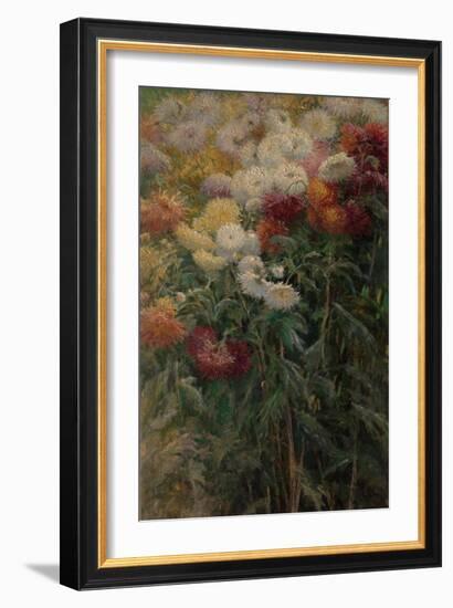 Chrysanthemums in the Garden at Petit-Gennevilliers, 1893-Gustave Caillebotte-Framed Giclee Print