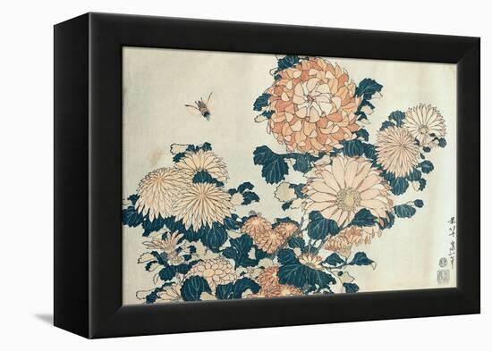 Chrysanthemums-Katsushika Hokusai-Framed Premier Image Canvas