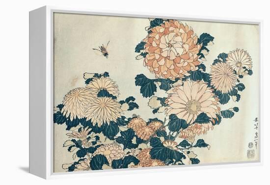 Chrysanthemums-Katsushika Hokusai-Framed Premier Image Canvas