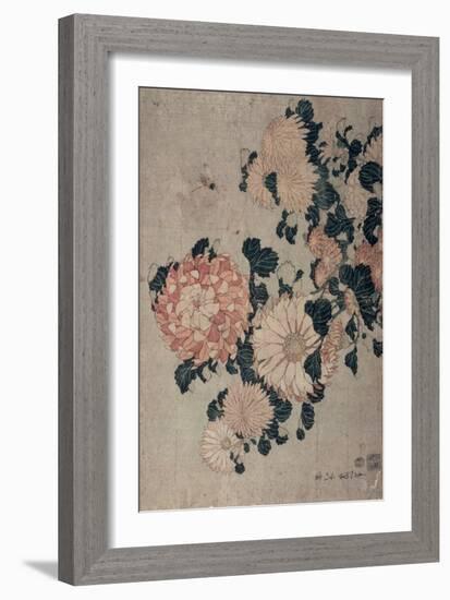 Chrysanthemums-Katsushika Hokusai-Framed Giclee Print