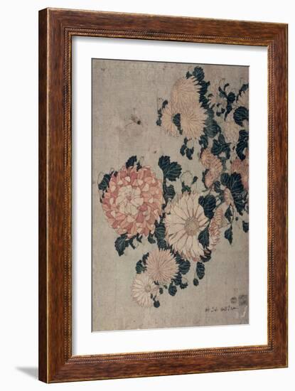 Chrysanthemums-Katsushika Hokusai-Framed Giclee Print