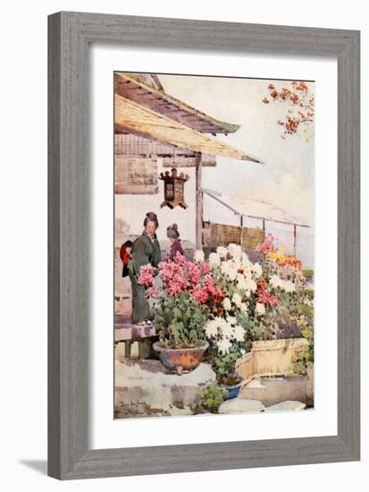 Chrysanthemums-Ella Du Cane-Framed Giclee Print