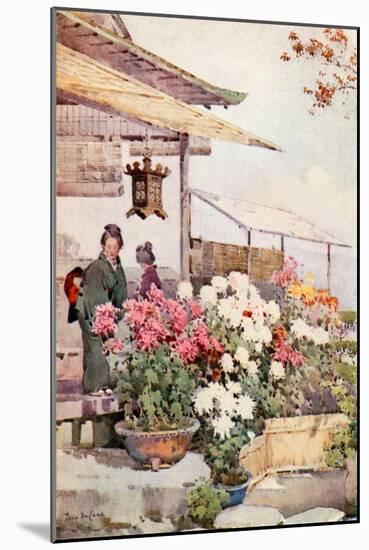 Chrysanthemums-Ella Du Cane-Mounted Giclee Print