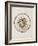 Chrysaora Hysoscella, Ilfracombe, 1856: Compass Jellyfish-Philip Henry Gosse-Framed Giclee Print