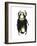 Chrysina Scarab Beetle-Lawrence Lawry-Framed Photographic Print