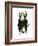 Chrysina Scarab Beetle-Lawrence Lawry-Framed Photographic Print