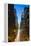 Chrysler Building, Manhattan, New York City, New York, USA-Jon Arnold-Framed Premier Image Canvas