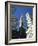 Chrysler Building, Manhattan, New York City, United States of America, North America-Hans Peter Merten-Framed Photographic Print