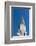 Chrysler Building, Manhattan, New York, USA-Stefano Politi Markovina-Framed Photographic Print