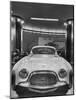 Chrysler "Special" Is an Experimental Model, Built in Italy, Standing in Showroom-null-Mounted Photographic Print