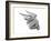 Chrysler Wings Logo 1928-null-Framed Art Print