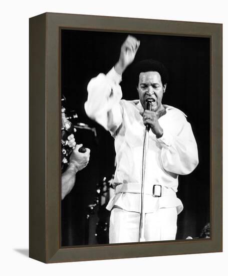 Chubby Checker-null-Framed Stretched Canvas