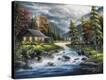 Stretched Canvas Print