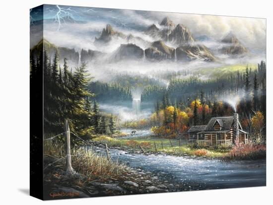 Stretched Canvas Print, , large