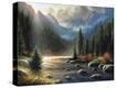 Stretched Canvas Print
