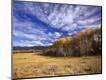 Photographic Print