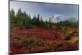 Premium Photographic Print