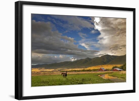 Photographic Print, , large