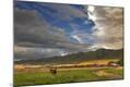 Photographic Print