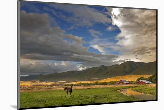 Photographic Print, , large