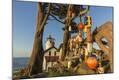 Photographic Print
