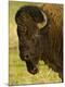 Premium Photographic Print
